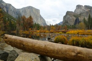log and lake and mountainn scenery