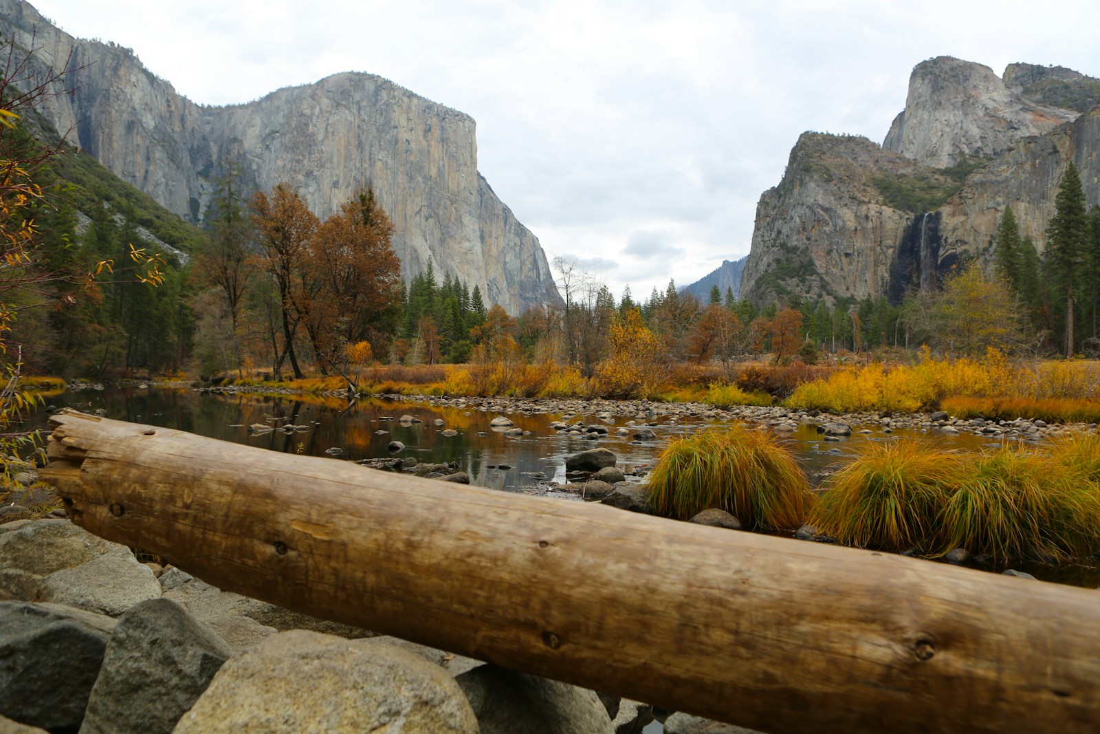 log and lake and mountainn scenery